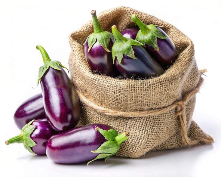 Brinjal (Eggplant)